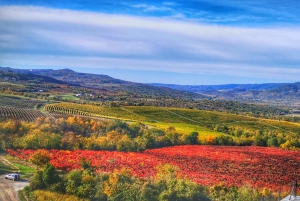 Excursión de un día a Istria desde Zagreb
