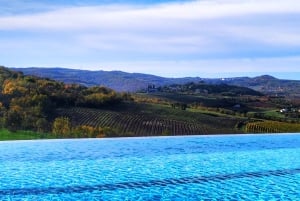 Excursión de un día a Istria desde Zagreb