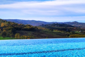 Dagstur til Istria fra Zagreb