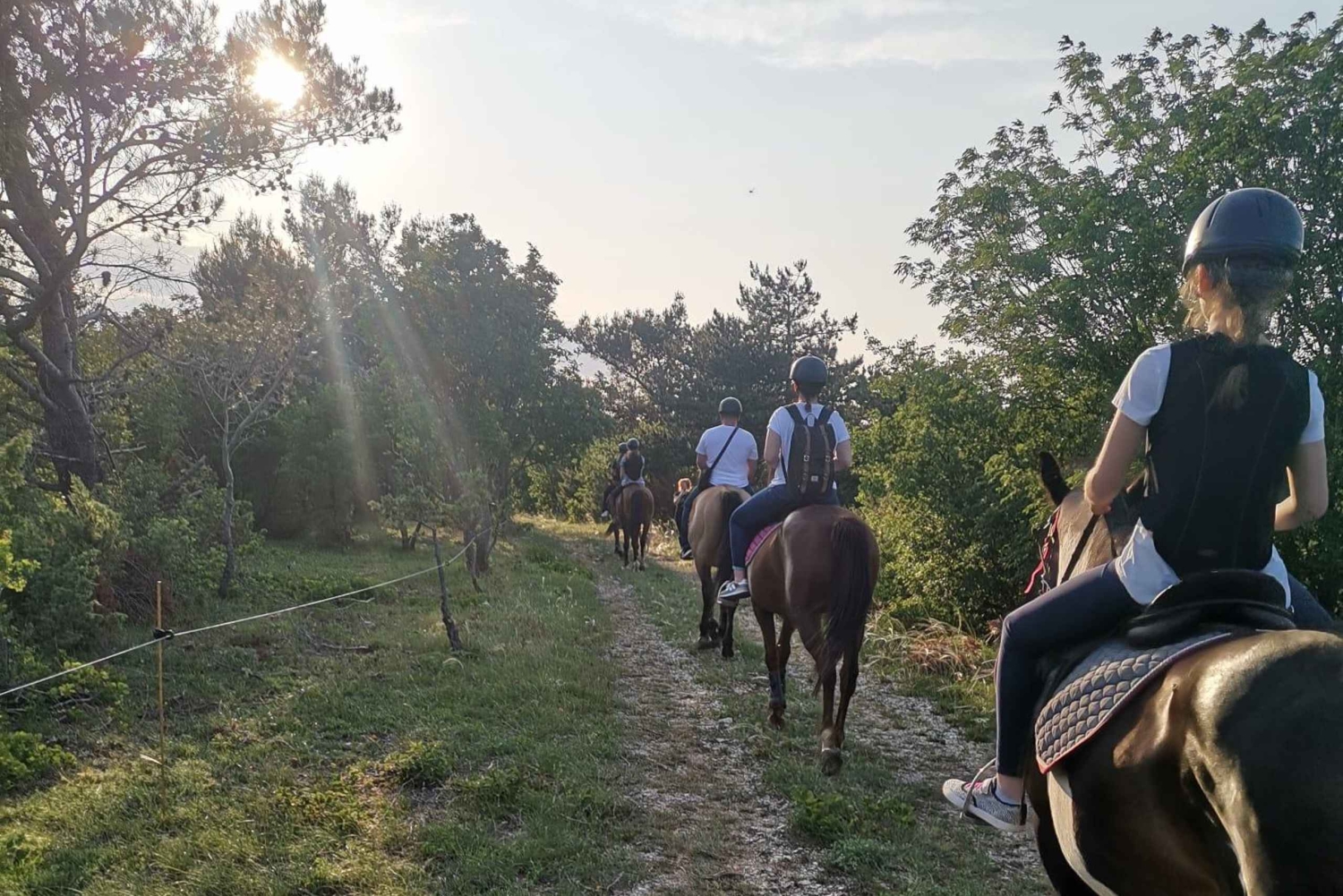 Ístria: Passeio guiado a cavalo