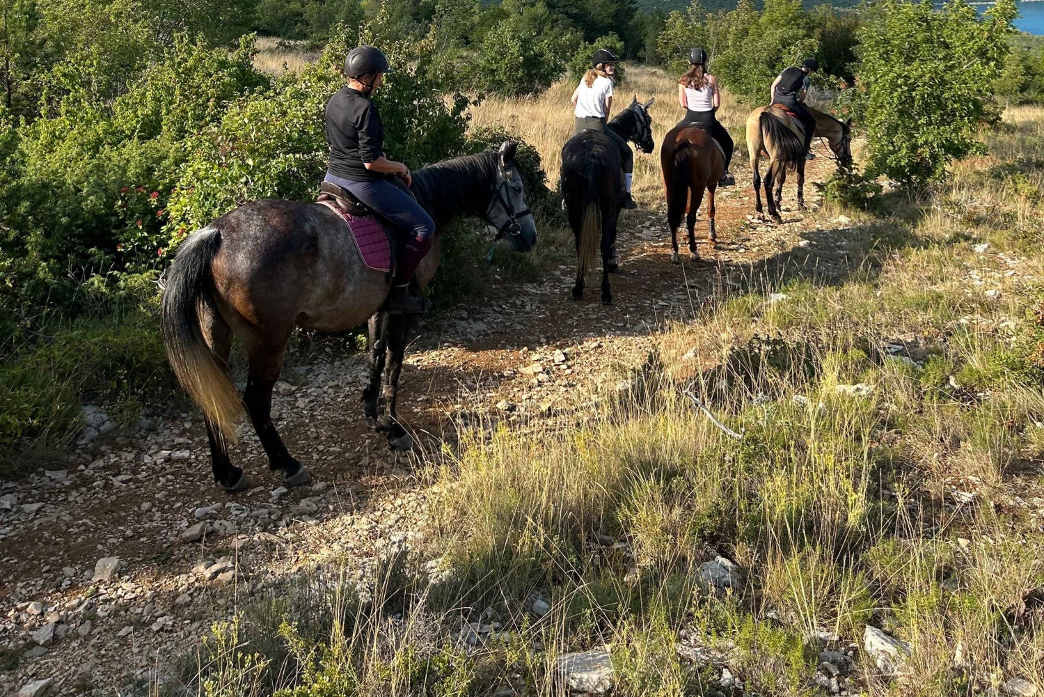 Ístria: Passeio guiado a cavalo