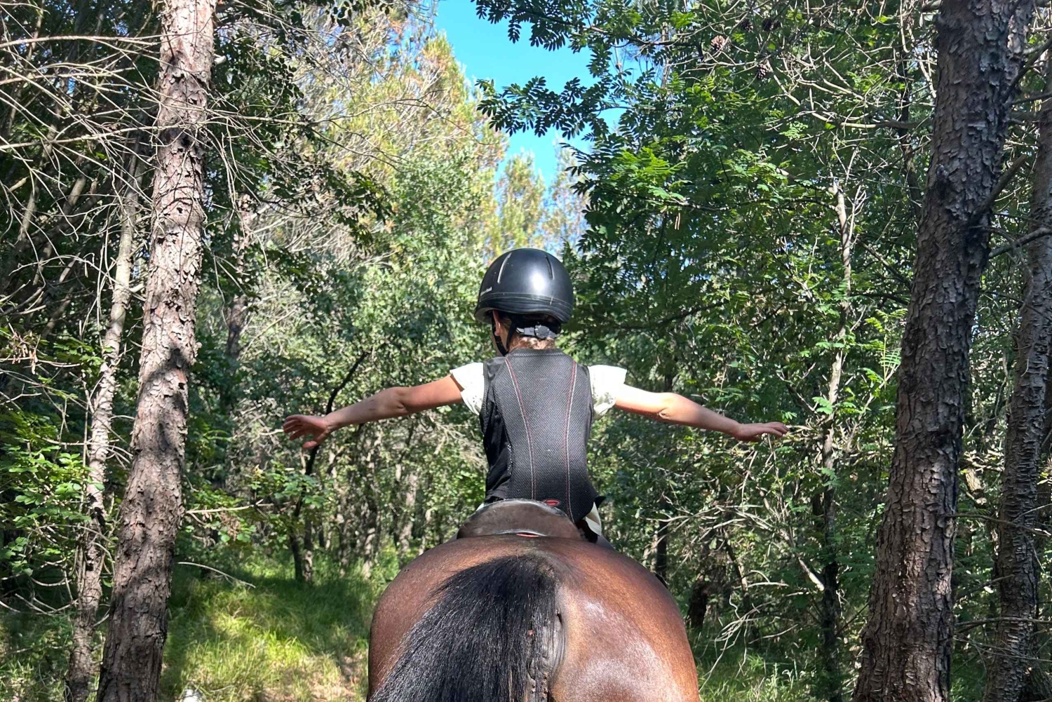 Ístria: Passeio guiado a cavalo