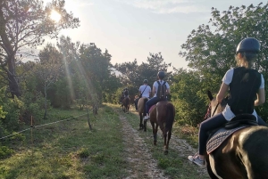 Ístria: Passeio guiado a cavalo