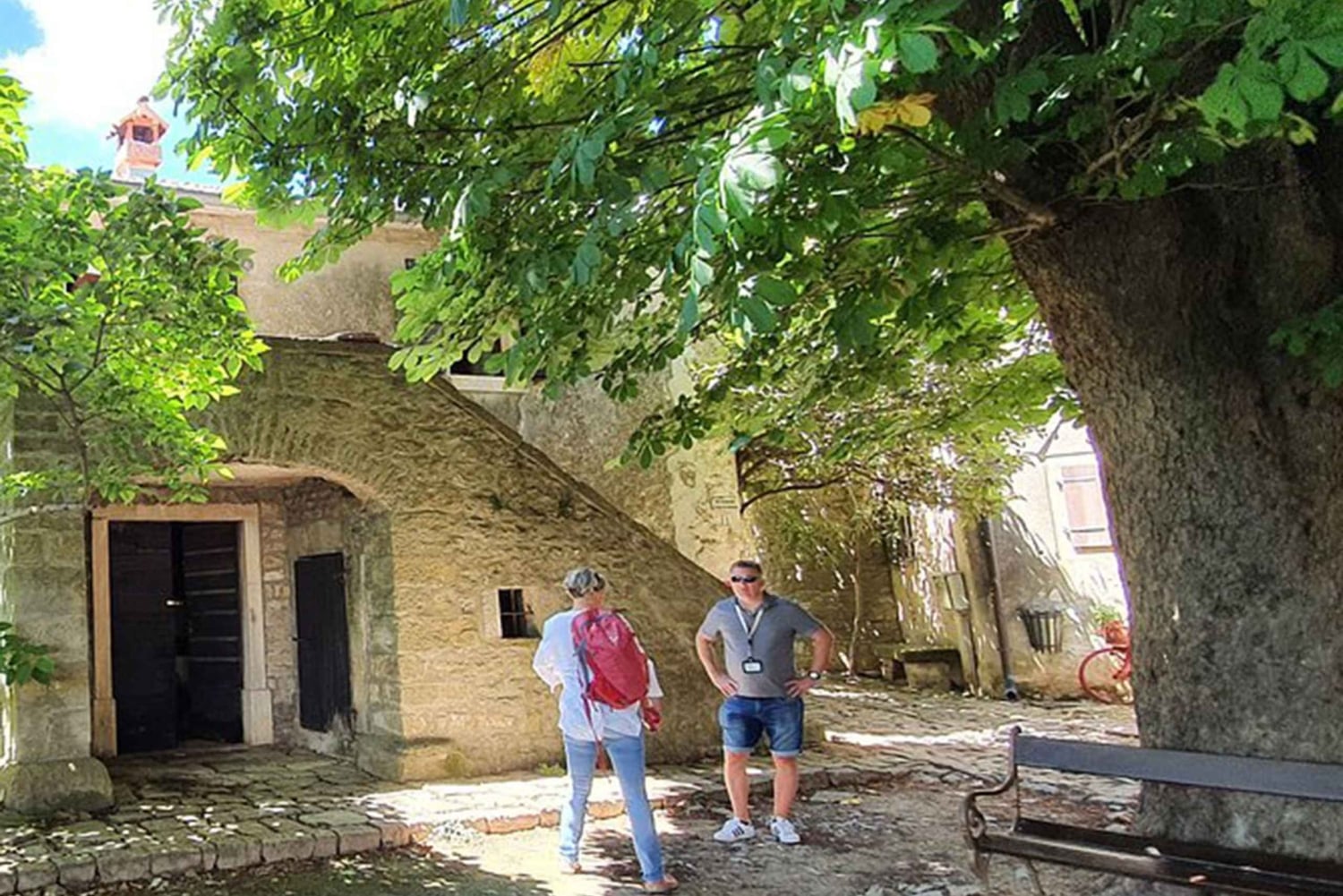 イストリア半島：フード テイスティング付きインナー イストリア半島のガイド付きツアー