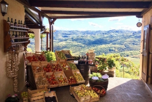 Istria: tour guidato dell'Istria interna con degustazione di cibo