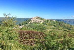 Istria: tour guidato dell'Istria interna con degustazione di cibo