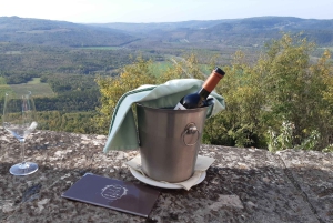 Istria: tour guidato dell'Istria interna con degustazione di cibo