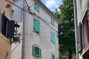 Istria: tour guidato dell'Istria interna con degustazione di cibo