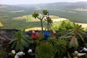 イストリア半島：フード テイスティング付きインナー イストリア半島のガイド付きツアー