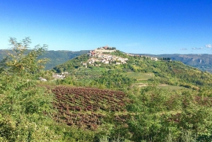 イストリア半島：フード テイスティング付きインナー イストリア半島のガイド付きツアー