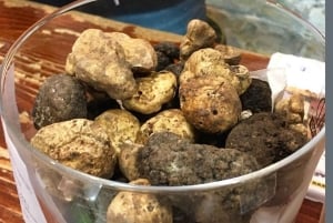 イストリア半島：フード テイスティング付きインナー イストリア半島のガイド付きツアー