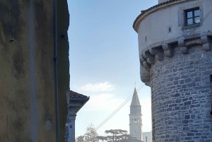 イストリア半島：フード テイスティング付きインナー イストリア半島のガイド付きツアー