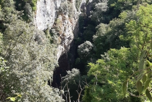 イストリア半島：フード テイスティング付きインナー イストリア半島のガイド付きツアー