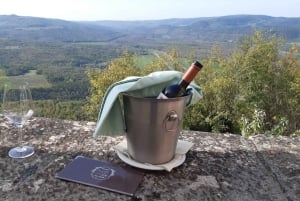 イストリア半島：フード テイスティング付きインナー イストリア半島のガイド付きツアー