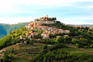 Istria Highlights Tour from Rijeka or Pula