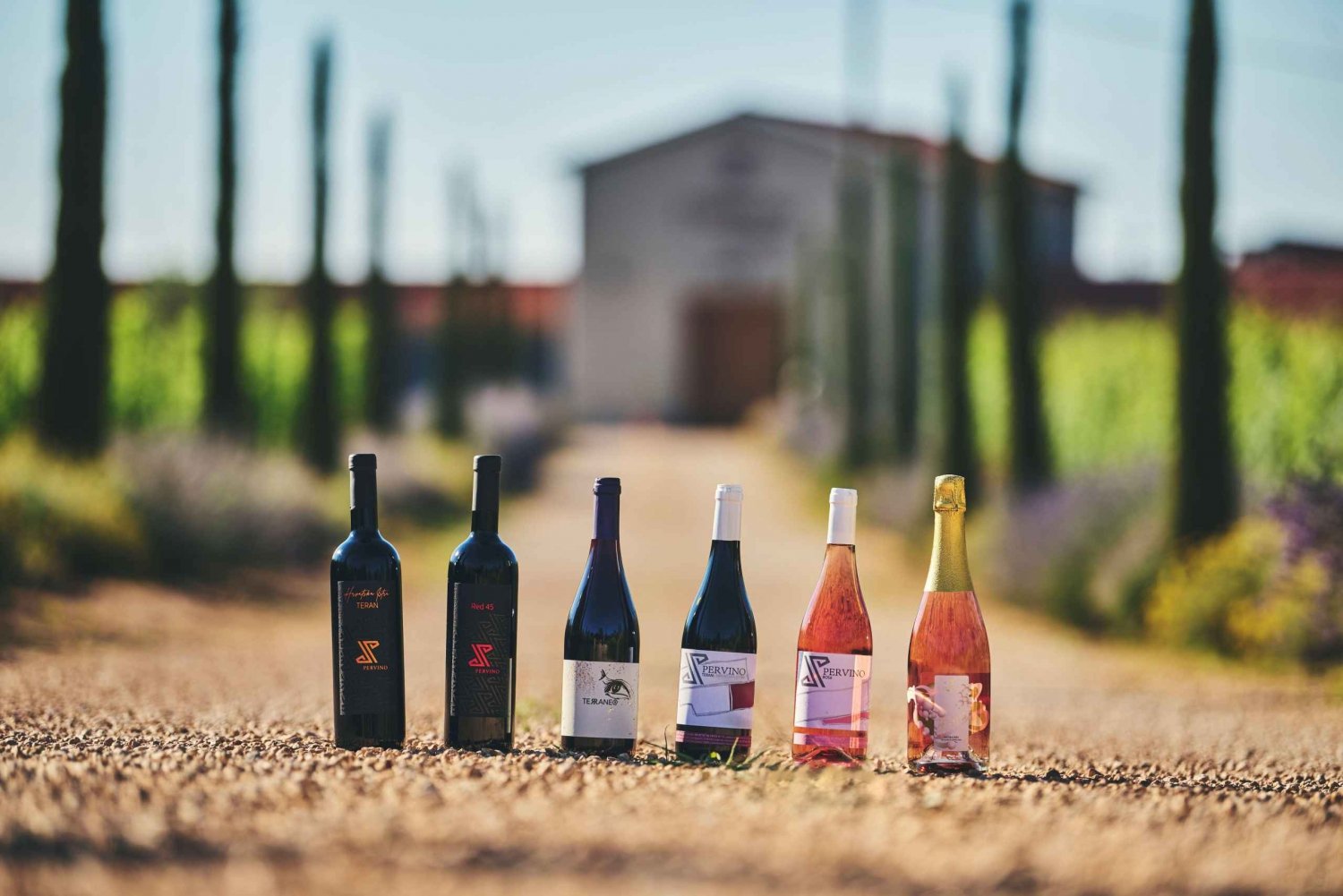 Istria: Degustação de vinhos em Pervino