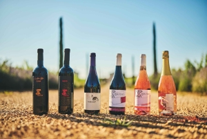 Istrie : Dégustation de vin de Pervino