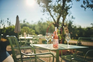 Istrie : Dégustation de vin de Pervino