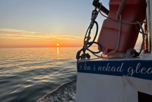 Izlet brodom iz Vrsara: Zalazak sunca i druženje s delfinima