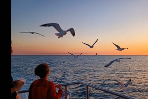 Kamenjak: Medulin Sunset Dolphin Tour