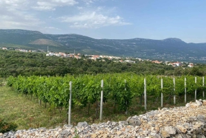 Kastela: Degustação de vinhos e azeitonas com delicatessens e música ao vivo