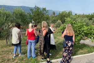 Kastela: Degustação de vinhos e azeitonas com delicatessens e música ao vivo