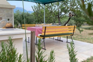 Kastela: Degustação de vinhos e azeitonas com delicatessens e música ao vivo