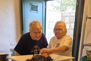 Kastela: Degustação de vinhos e azeitonas com delicatessens e música ao vivo