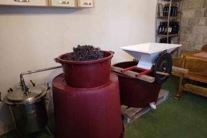 Kastela: Degustação de vinhos e azeitonas com delicatessens e música ao vivo