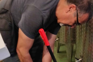 Kastela: Degustação de vinhos e azeitonas com delicatessens e música ao vivo