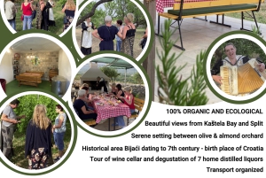 Kastela: Degustação de vinhos e azeitonas com delicatessens e música ao vivo