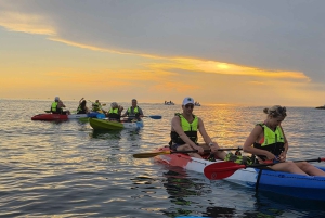 Sport acquatici Rovigno - Tour in kayak, snorkeling, drink gratuito e foto