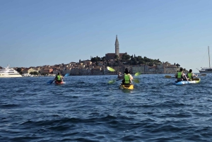 Sport acquatici Rovigno - Tour in kayak, snorkeling, drink gratuito e foto