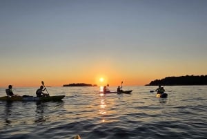 Sport acquatici Rovigno - Tour in kayak, snorkeling, drink gratuito e foto