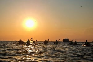 Sport acquatici Rovigno - Tour in kayak, snorkeling, drink gratuito e foto