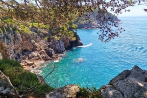 Insel Koločep: Tagestour zum Wandern und Schwimmen