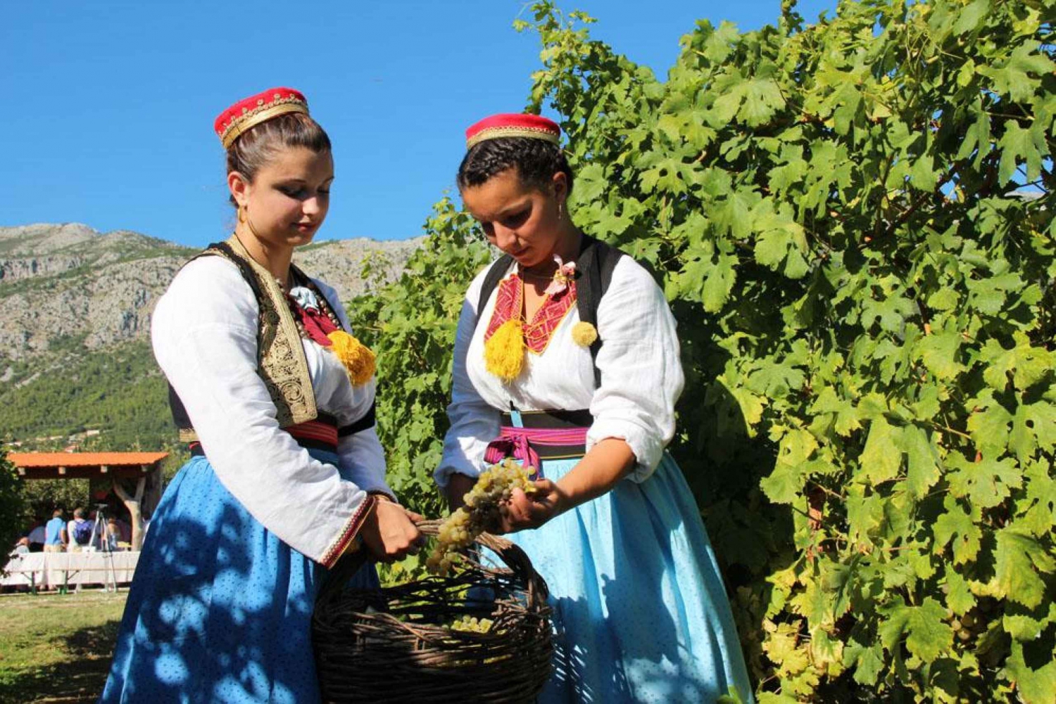 Konavle Valley: Private Half-Day Tour with Wine Tasting