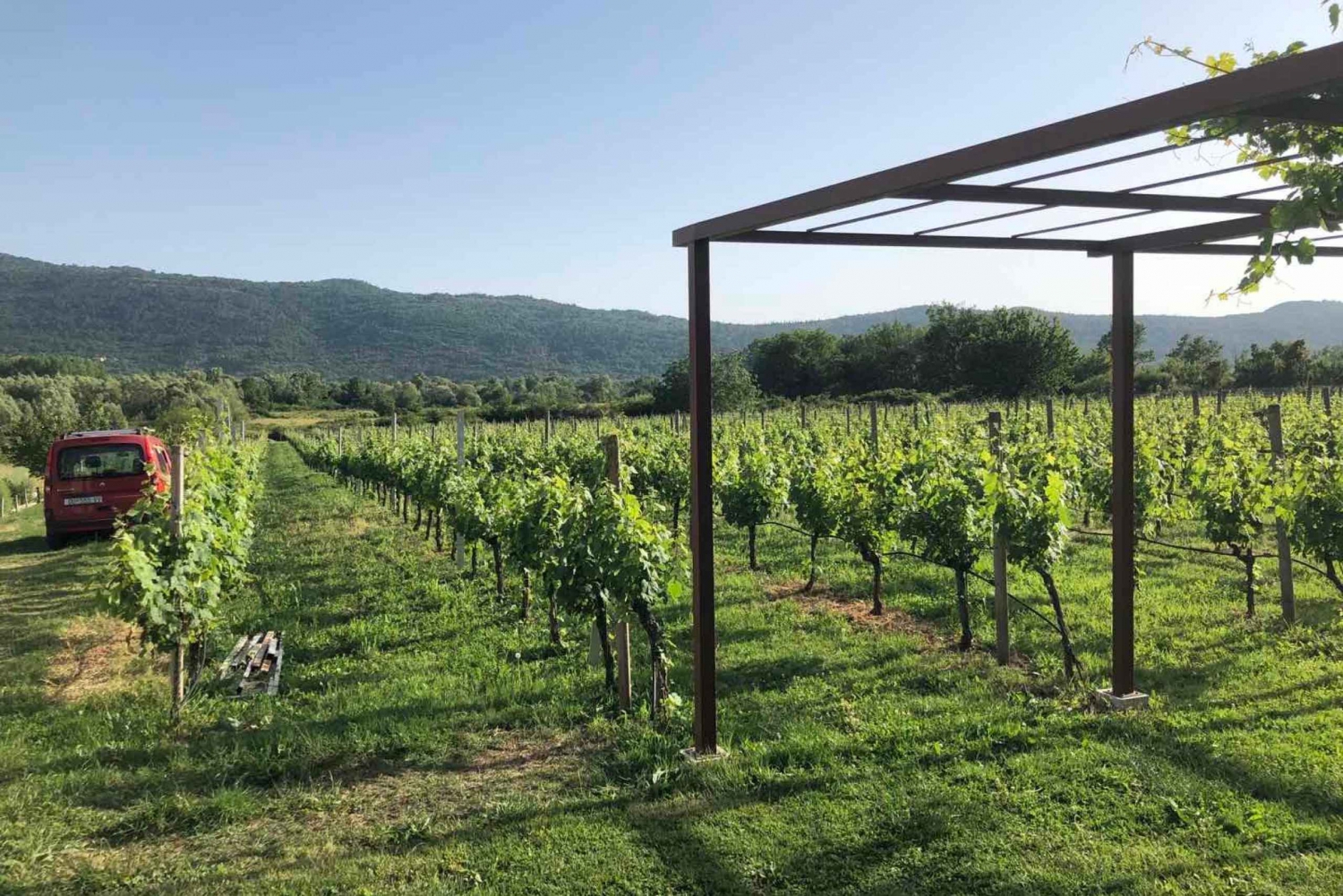 Konavle Valley: Private Half-Day Tour with Wine Tasting