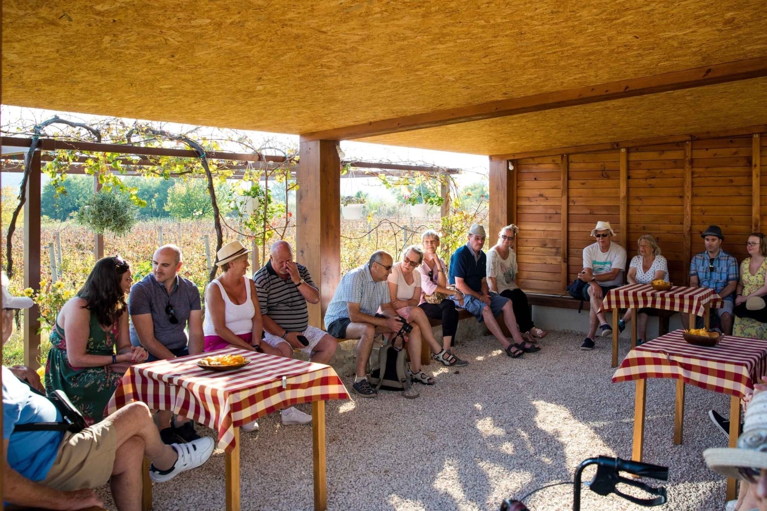 Долина Конавле: тур с дегустацией вин из Дубровника