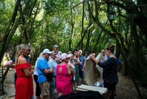 Konavle Valley: Tour with Wine Tasting from Dubrovnik