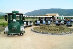 Долина Конавле: тур с дегустацией вин из Дубровника