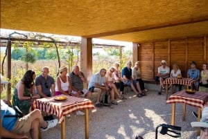 Долина Конавле: тур с дегустацией вин из Дубровника