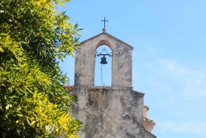 Korčula and Pelješac Wine Tasting - Day Tour from Dubrovnik