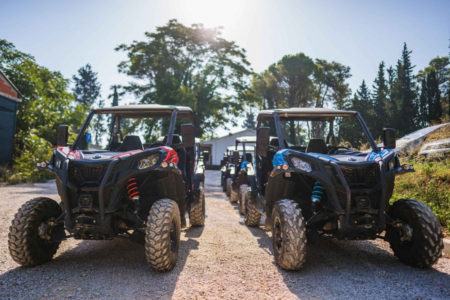 Korcula Buggy Safari With Wine Tasting