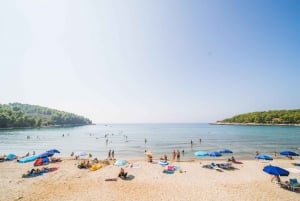 Korcula Buggy Safari With Wine Tasting