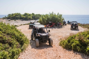 コルチュラ島のバギーサファリとワインの試飲