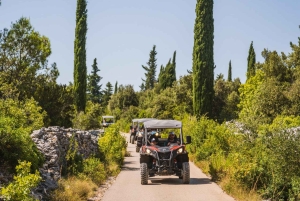 コルチュラ島のバギーサファリとワインの試飲