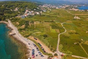 コルチュラ島のバギーサファリとワインの試飲