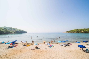 コルチュラ島のバギーサファリとワインの試飲