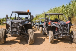 コルチュラ島のバギーサファリとワインの試飲